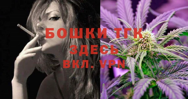 сатива Зеленокумск