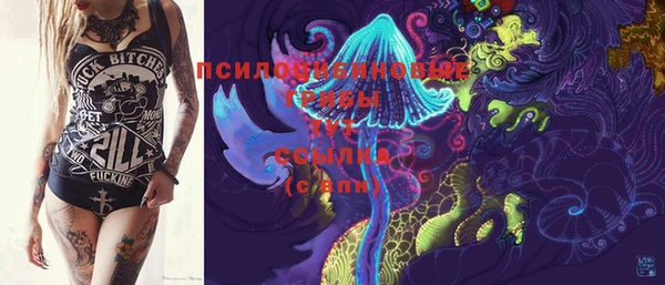 мдпв Заволжье