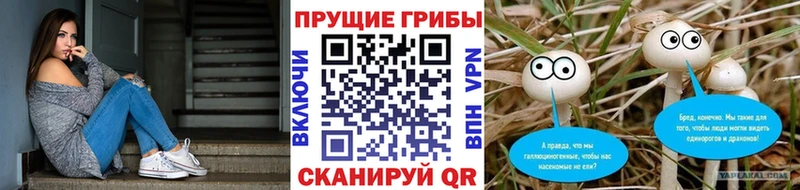 Псилоцибиновые грибы Magic Shrooms  Купить закладки  Гуково 
